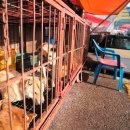 모란농장 이미지