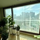 내집마련부동산중개 이미지