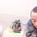 [백석] 스마트폰 활용지도사 2급 이미지