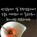 소소한 행복 이미지