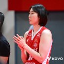 박정아 카카오 검색결과