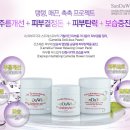 카멜리아플라워 이미지