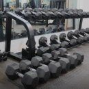 더 머슬짐 이미지