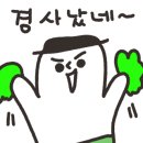 폴라버텍스 이미지