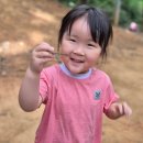 예쁨유치원 이미지