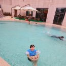 1박2일 족발 이미지