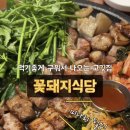 마산 합성동 맛집. 구워주는 존맛 고기집 : 꽃돼지식당 마산합성점