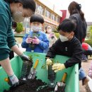 청원초등학교 이미지