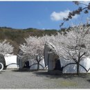 자연이랑캠프 | 경주캠핑 자연 속 힐링, 산내자연캠프 캠핑 후기