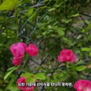 가운데 이미지