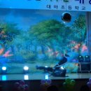 대마초등학교 이미지