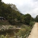 쿵쿵소 캠핑장 이미지