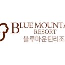 블루마운틴4255