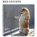 펭귄PC방 이미지