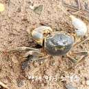 2025년 9월 답사 후기 소경도 이미지