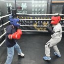 복싱바이러스 동양점 이미지