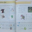 최강스카이푸르넷