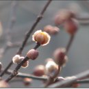 관음2리 이미지