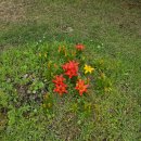 산울림펜션 이미지