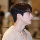 이젤헤어 이미지