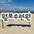 월포가
