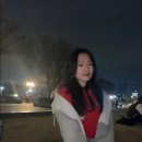 홍우택 | 꽃도 캘린더도 알록달록_3월 3주차