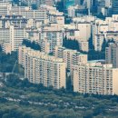 강남-221 이미지