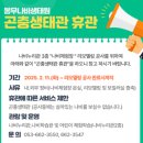 나비현수막공사