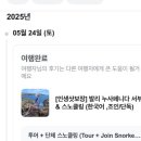 [발리에서 생긴 일] 누사페니다 스노클링 마이리얼트립후기 #준비물 #단체조인 🐠🐠