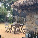 섬이라니,좋잖아요 이미지