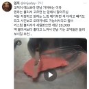 ???: 썸네일 보고 철판 아이스크림인줄 이미지