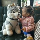 흰수염고래리조트 이미지