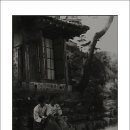 뮤지엄 한미 이미지