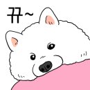 예산빵구타이어수리
