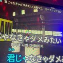 시네마당구장 | 산가츠라쟈나이 카츠라다