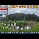 3지구대마트