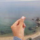효동초교 | 수원 매탄동 무니네일 여름네일 글리터 젤 추천