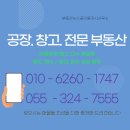 유하진영 이미지