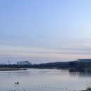 개와커피가썸타는날(개썸커피) | 키미에노 아이가 … 아이가…