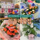 민들레다육 | 익산 모현동 민들레꽃집_이벤트&행사 때마다 찾는 가성비 꽃집(ft. 착한가게)