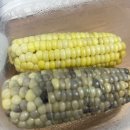 멍이올래 | [일상블로그]2월 밀린 일상기록 우울 극복기