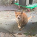 (주)카페베네 | 있던 건 지나가고, 없던 건 돌아온다