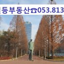 경산중앙부동산중개사사무소 이미지