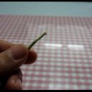 두니의 혼자만의 동영상 - 손뜨개 실 잇는 법 이미지