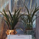 이진호내과의원 이미지