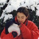 공리 이미지