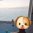 하얀낭만 | 삼척숙소 하얀 낭만 펜션 후기