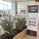 Wedding #1-8. 그랜드힐컨벤션 사브리나홀, 26년 상반기 견적 상담 후기, 그랜드볼룸 식대 (계약 ⭕️)