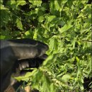 논일농장 이미지