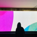 선의 빛 | 추천_앙리마티스 라이프 앤 조이 전시회 관람 후기_오디오 도슨트와 함께 앙리마티스의 재발견(부산...